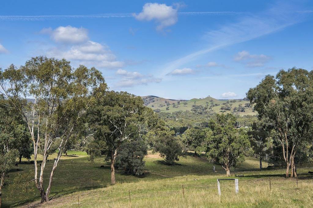 Oddfrog Lodges - Bunkhouse in Mid-Western Regional Council