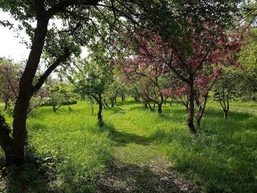 Feriehus til 8 Personer i Sæby, Nordøst-Jylland, Bilde 2
