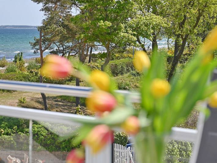 Ferienwohnung für 3 Personen, mit Balkon und Terrasse sowie Sauna und Ausblick in Breege - 3