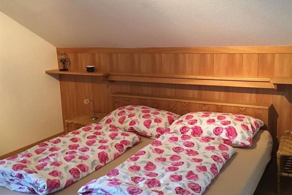 Ganze Wohnung, Appartement/Fewo, Bad, Wc, 2 Schlafräume - Apartmenthaus Vogelsinger in Ossiach, Bezirk Feldkirchen