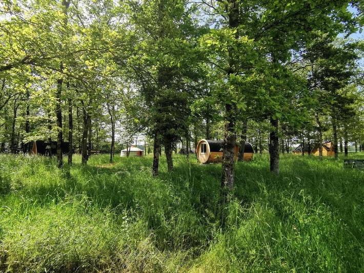 Tente pour 2 personnes, avec terrasse ainsi que jardin et piscine, animaux acceptés dans le Loir-et-Cher - 4