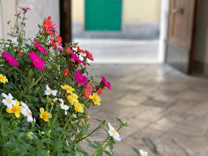Appartamento per 4 persone a Santa Maria Capua Vetere