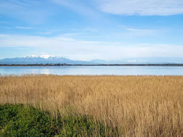 Villa pour 6 personnes, avec Terrasse à Canet-en-Roussillon