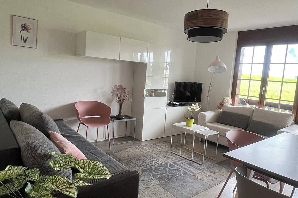 Appartement entier, Appartement tout confort avec balcon et vue in Leysin, Alpes Vaudoises