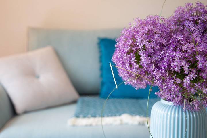 Ferienhaus für 2 Personen, mit Garten und Ausblick am Saaler Bodden - 4