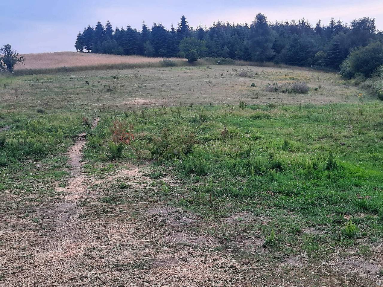 6 personer fritidhus i Ebeltoft in Ebeltoft, Süddjursland