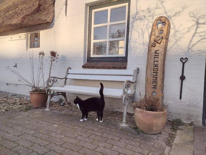 Ferienwohnung für 2 Personen, mit Garten und Ausblick, kinderfreundlich in Tating - 3