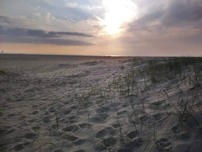 Ferienhaus für 8 Personen, mit Terrasse und Sauna sowie Whirlpool, kinderfreundlich auf Fanø - 4