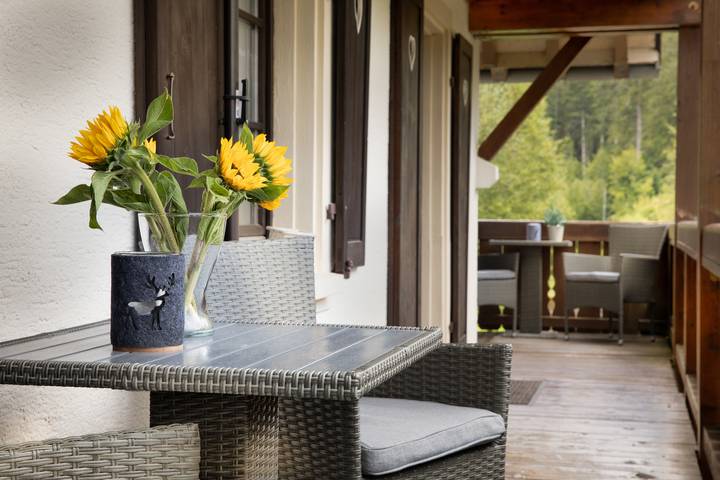 Finkenhof - Zimmer Zauberwald in Blasiwald (Schluchsee), Schluchsee
