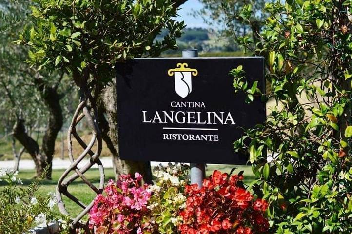 Appartamento per 2 persone, con giardino e panorama nonché piscina, con animali domestici in Corinaldo