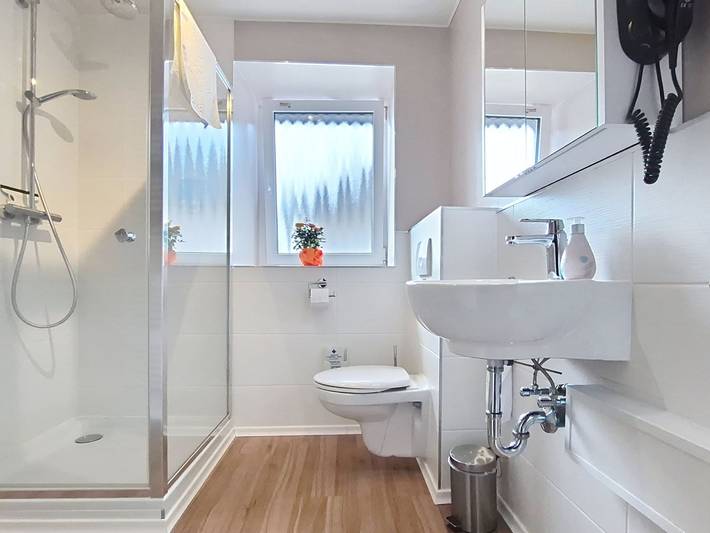 Ganze Wohnung, Böhmerwald in Klaffer am Hochficht, Bezirk Rohrbach