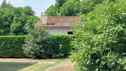 Location De Vacances pour 6 Personnes dans Dognen, Région d'Oloron-Sainte-Marie, Photo 4