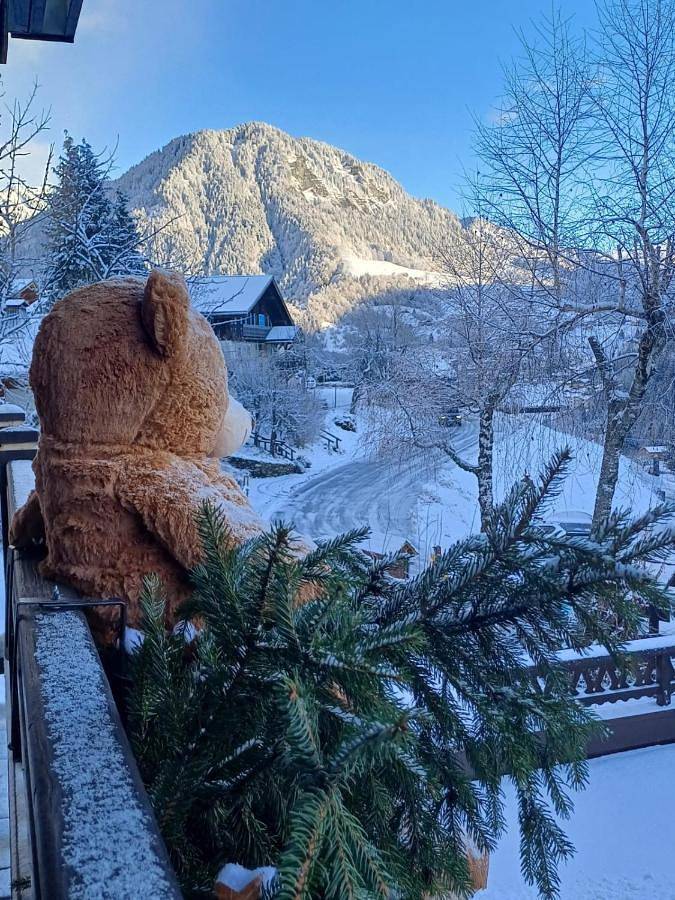 Chalet Appart'Hôtel l'Eau Vive in Saint-Nicolas-la-Chapelle, Région d'Albertville