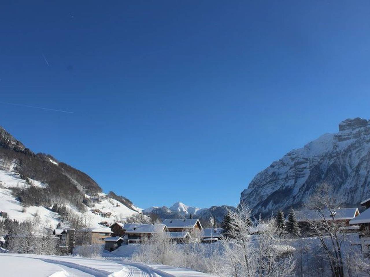 Ganze Ferienwohnung, Ferienhaus Alpenflora - Appartement Alpenflora in Mellau, Bregenzerwald