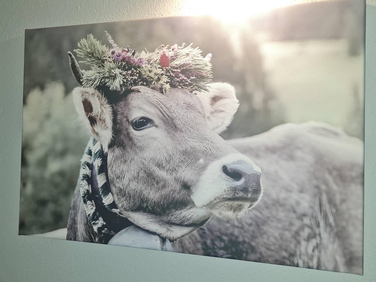 Ferienhaus, Dusche und Bad, Wc, Terrasse in Immenstadt, Bayerisch Schwaben