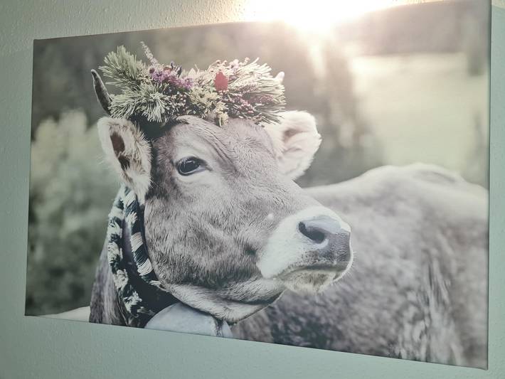 Ferienhaus für 6 Personen, mit Balkon und Garten im Oberallgäu - 2