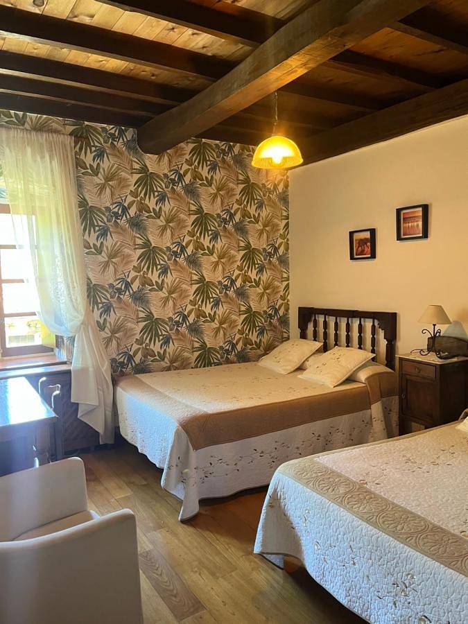 Hotel para 2 personas, con jardín y terraza en Parque Natural de las Fuentes del Narcea, Degaña e Ibias - 3