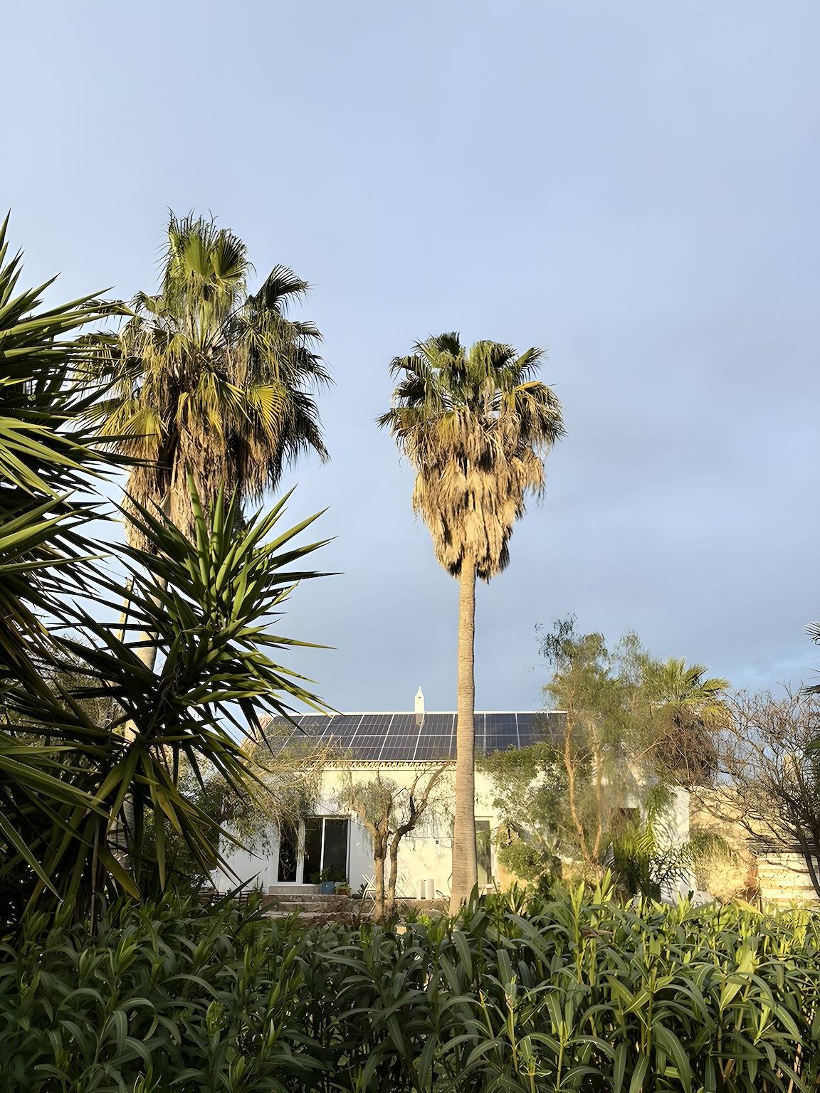 Dreamy Garden Cottage with Natural Pond in Algarve in Moncarapacho, Parque Natural da Ria Formosa