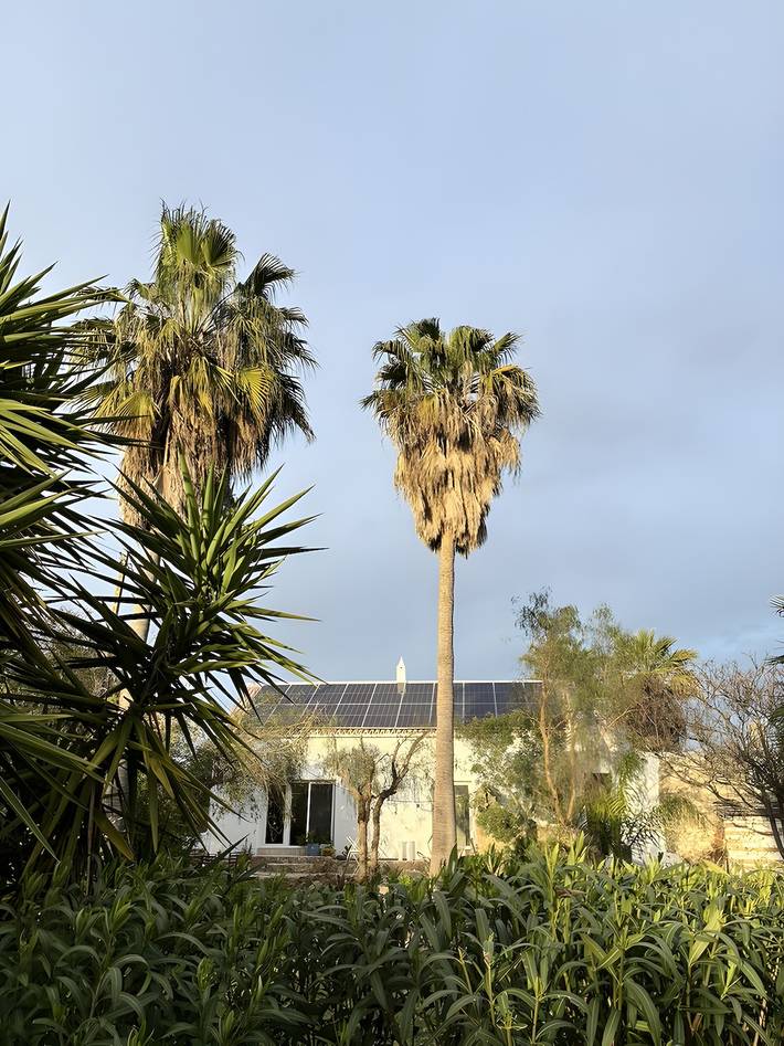 Gîte pour 2 personnes, avec jardin à Moncarapacho - 2