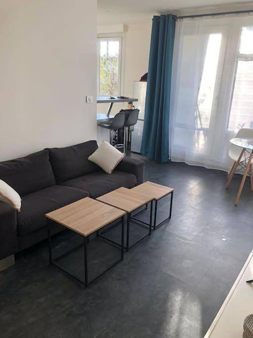 Gîte pour 6 personnes, avec jardin et vue, animaux acceptés à Pierre-Bénite - 4