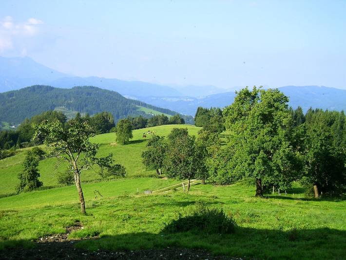 Bauernhof Moadl - Doppelzimmer 5 in Weyregg am Attersee, Bezirk Vöcklabruck