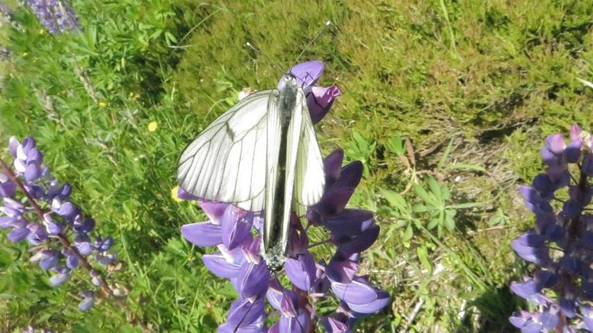 Ferienwohnung für 2 Personen, mit Sauna in Eibenstock - 2