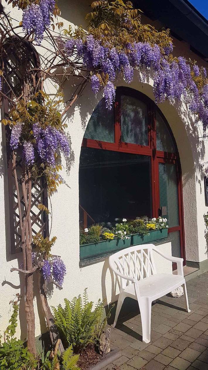 Ferienhaus für 4 Personen, mit Garten, mit Haustier in Deutschland - 3