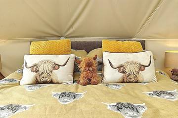 Camping for 2 People in Cornwall, South West England, Photo 2