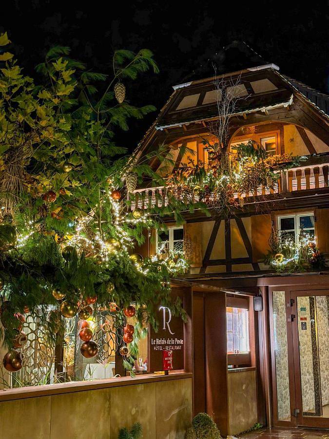 Hôtel pour 3 personnes, avec terrasse et vue, animaux acceptés à La Wantzenau - 4