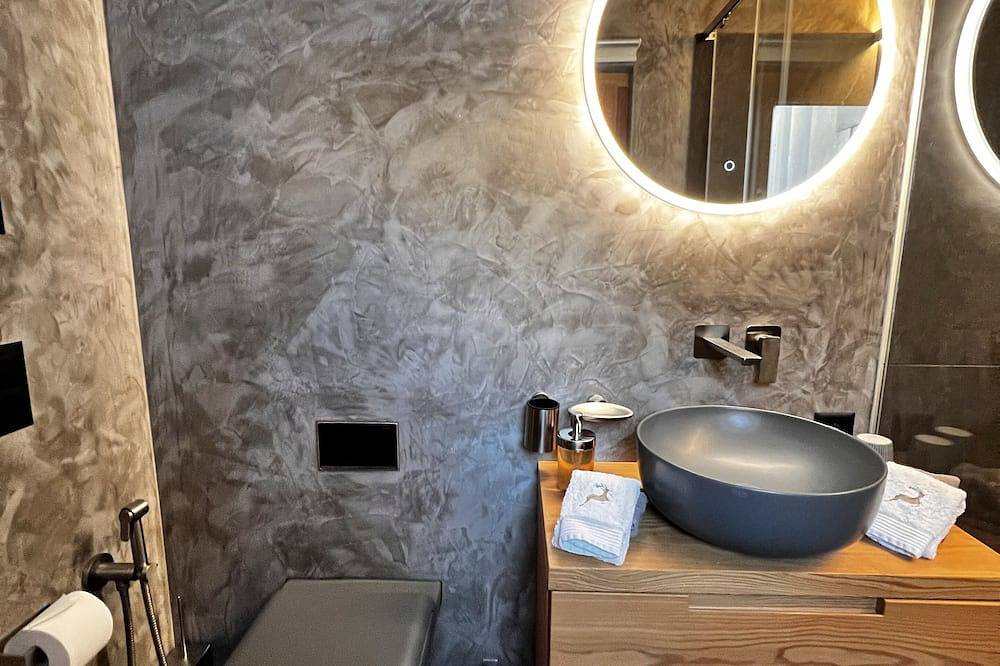 Apartamento entero, Flat Deer holiday for winter-summer sports in Bregaglia, Alpes del Bernina