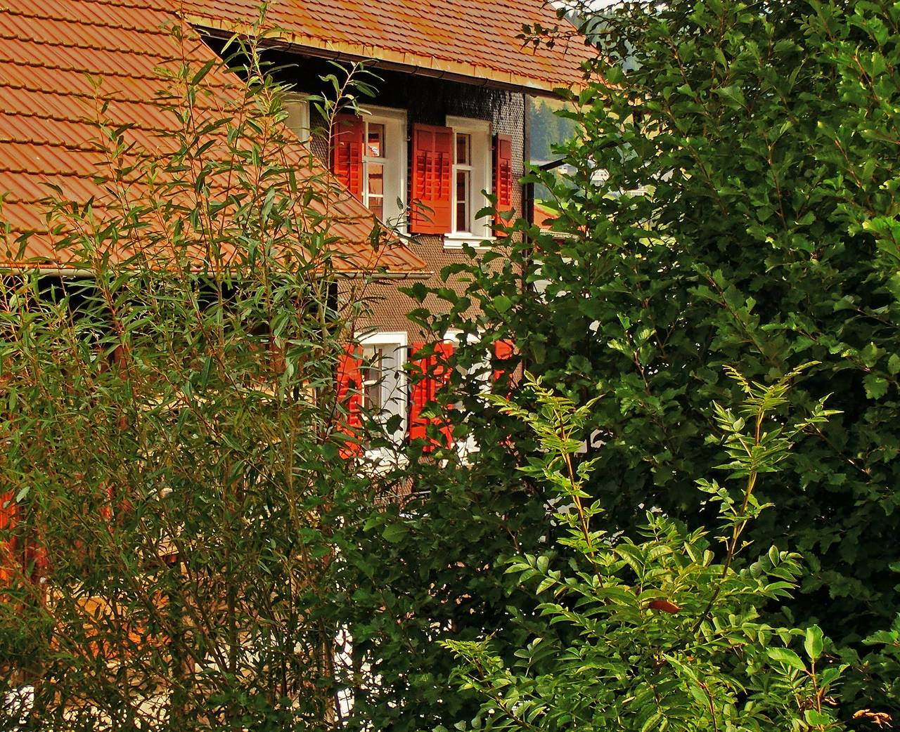 Ferienhaus 'Bernau' mit Bergblick, privater Terrasse und Wi-Fi in Gaß (Bernau im Schwarzwald), Bernau im Schwarzwald