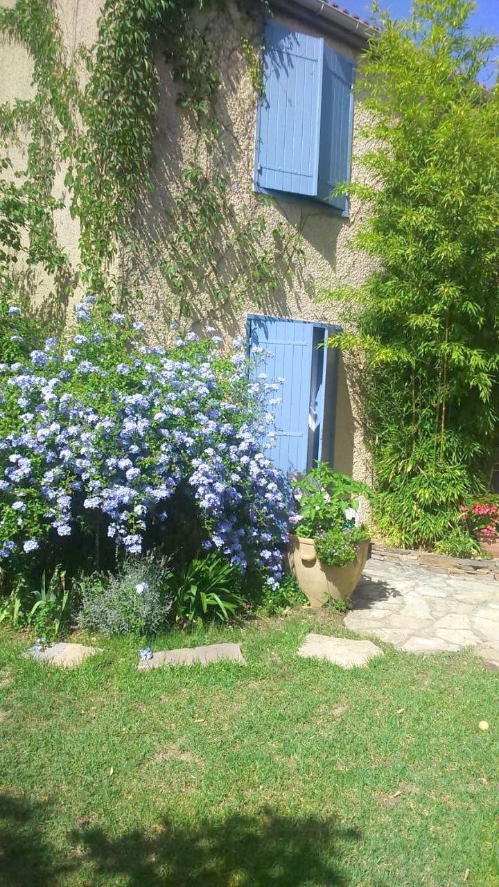 Chambres d'hôtes Lou Félibre in Vic-la-Gardiole, Côte méditerranéenne (France)