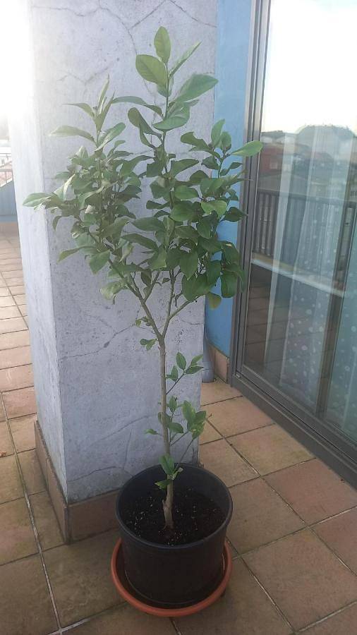 Appartement entier, One-Bedroom Apartment in Ares, Costa de Galicia