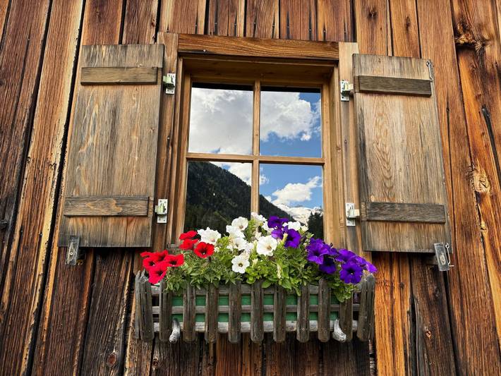 Hütte für 6 Personen, mit Garten am Großglockner - 3