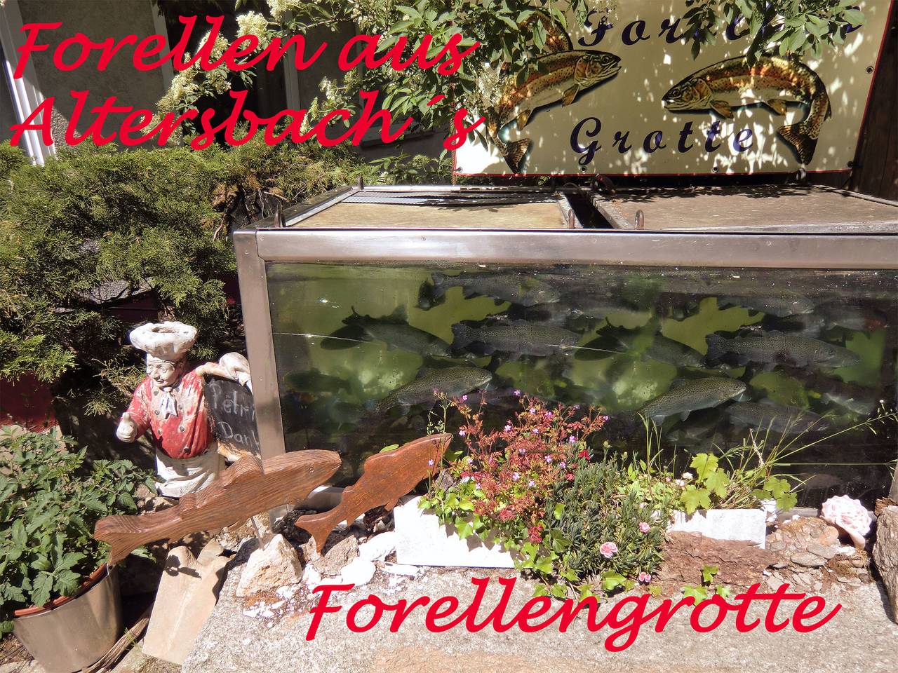 Ganze Ferienwohnung, Kandelbleibe - Kandelbleibe, 50qm, 1 Schlafzimmer, max. 2 Personen in Waldkirch, Südschwarzwald