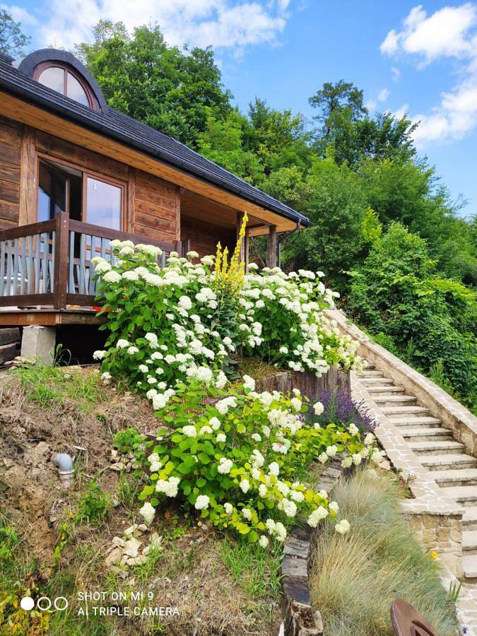 Appartement de vacances pour 5 personnes, avec jardin ainsi que vue et terrasse - 1