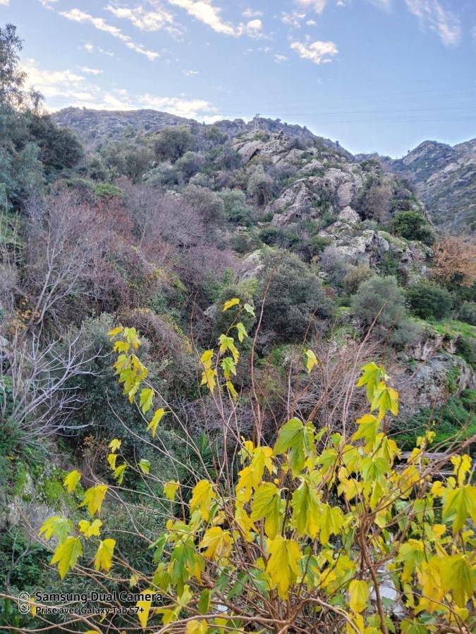 Location de vacances pour 6 personnes, avec jardin et piscine ainsi que sauna et vue à Biguglia - 3