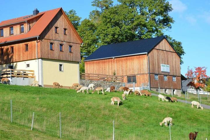 Ferienhaus für 9 Personen, mit Terrasse und Sauna in Frauenstein - 2