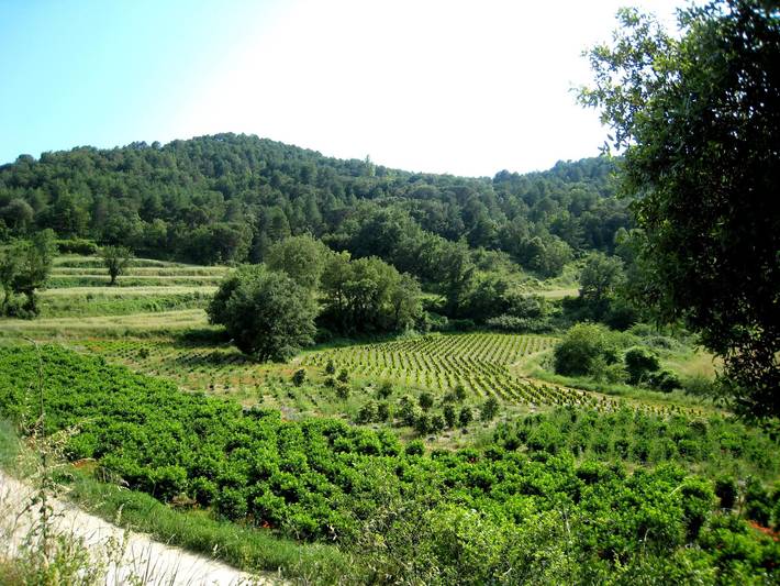 Casa rural para 8 personas, con terraza y piscina en Provincia de Barcelona - 4