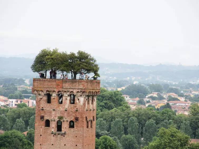 Haus 4 Personen in Capannori, Colline Lucchesi