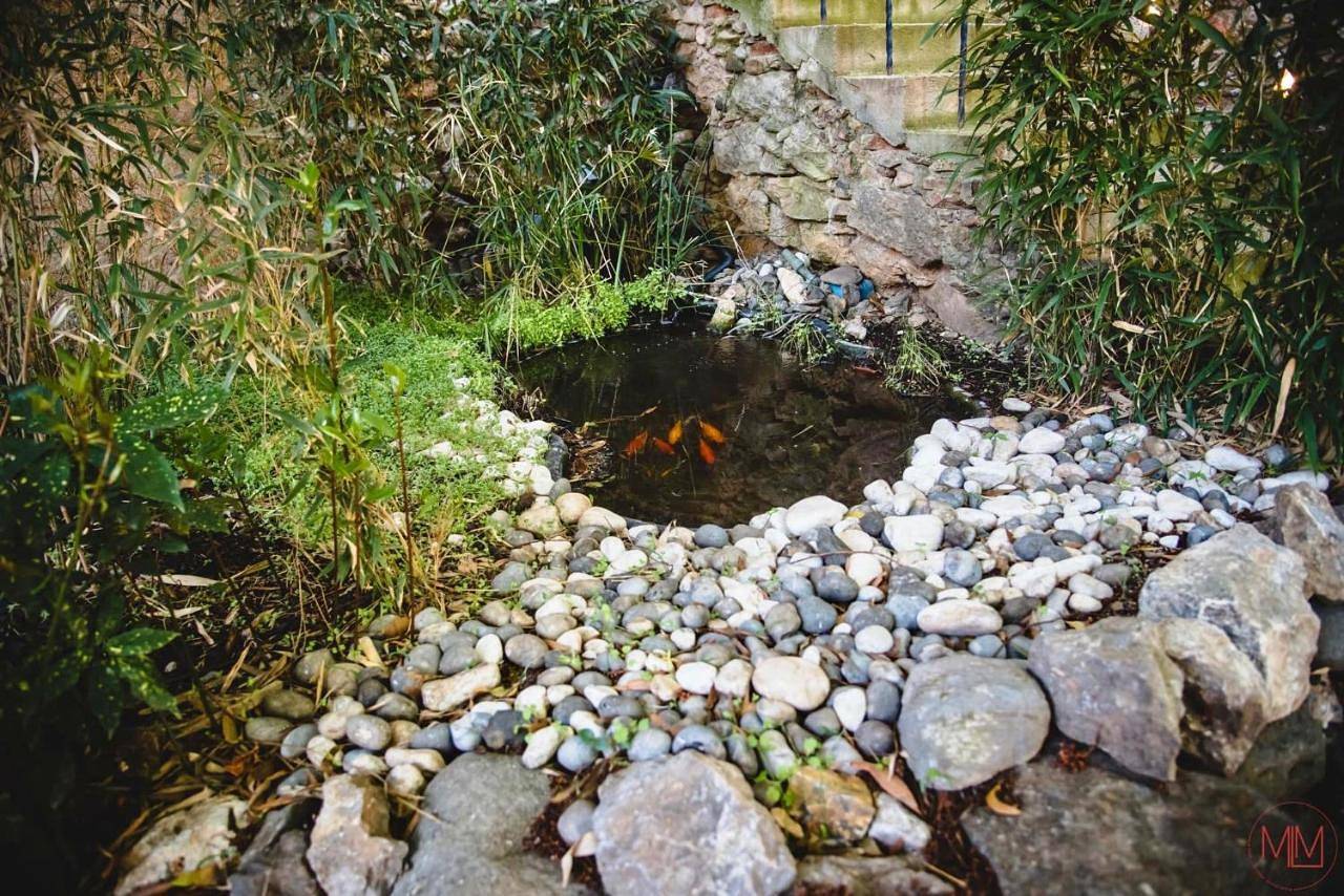 Maison d’hôte pour 2 personnes avec terrasse in Tautavel, Côte méditerranéenne (France)