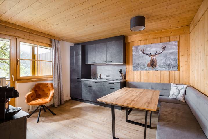 Ferienwohnung für 2 Personen, mit Balkon und Sauna in Dalaas - 2