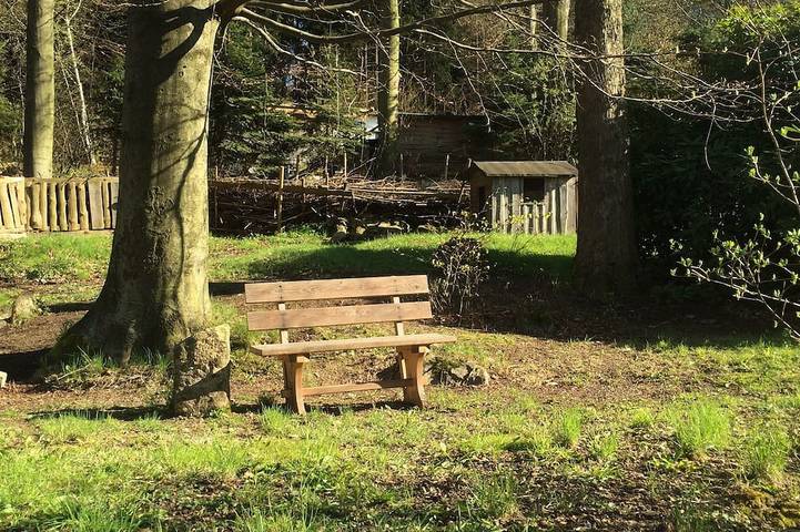 Ferienwohnung für 2 Personen, mit Sauna und Garten in Oybin - 4