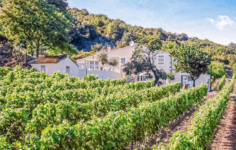 Location de vacances pour 8 personnes, avec jardin et piscine dans Parc naturel régional du Haut-Languedoc - 2