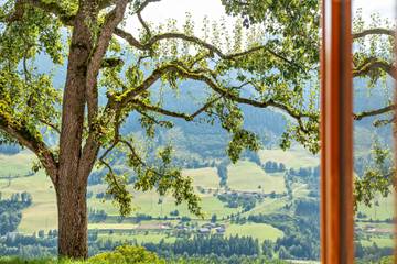 Bauernhof für 2 Personen in Goldegg, Pongau, Bild 4