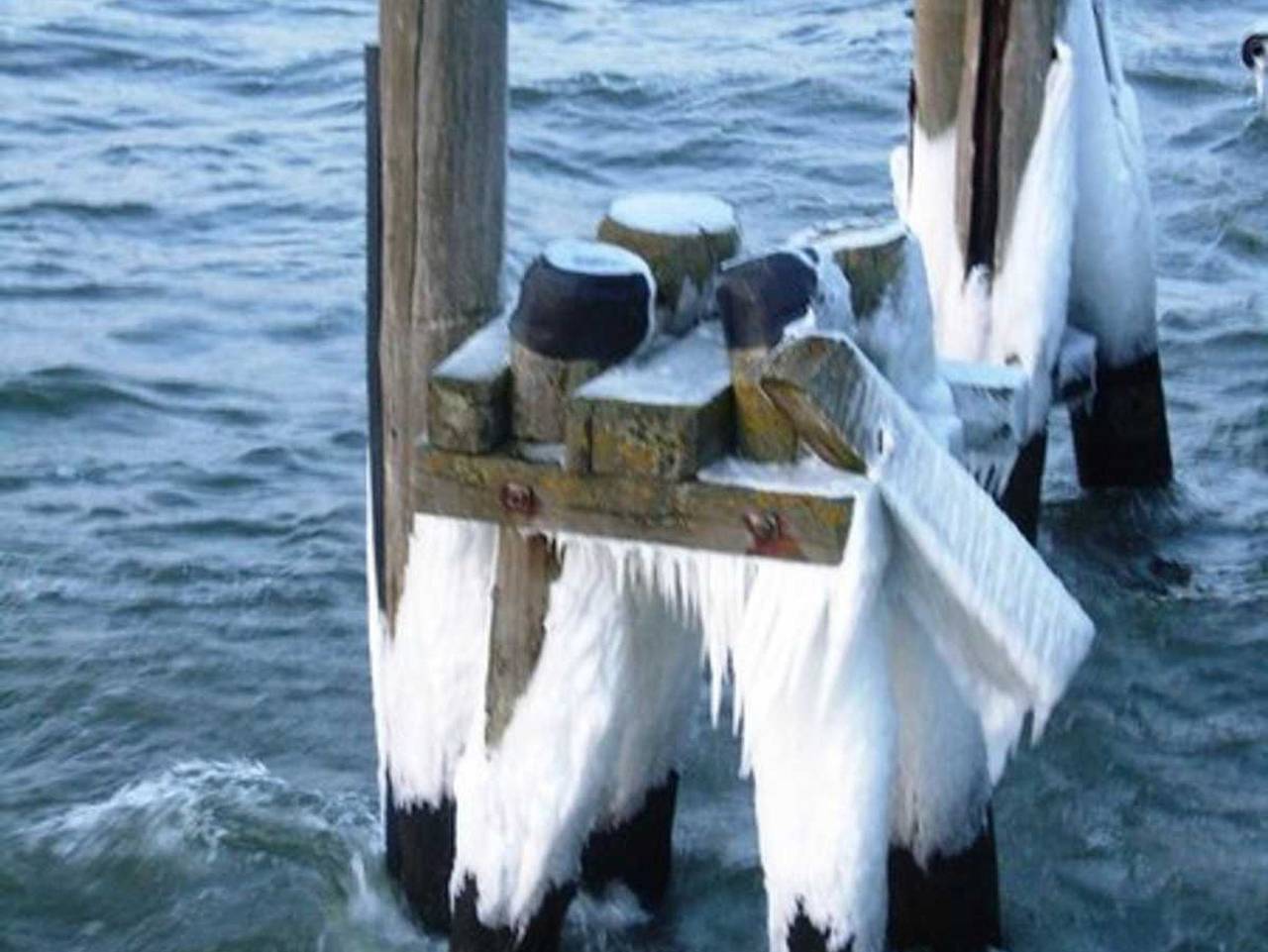 Ganze Ferienwohnung, **400 m zum Ostseestrand** F.-L.-Jahnstr., Bj.2009 - Seestern in Koserow, Bernsteinbäder