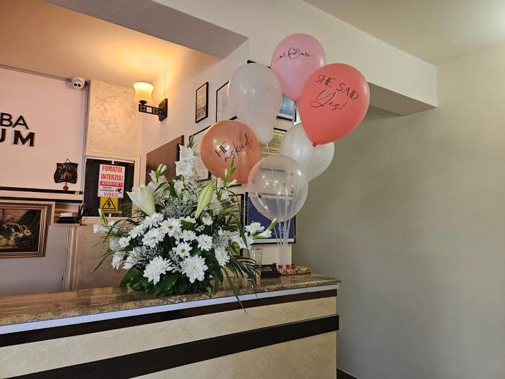 Gîte pour 3 personnes, avec jardin et vue à Alba (Romania) - 2