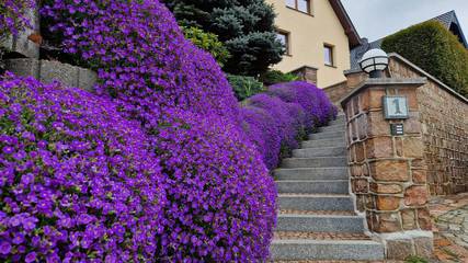 Ferienwohnung für 4 Personen in Olbernhau, Chemnitz und Umgebung, Bild 2