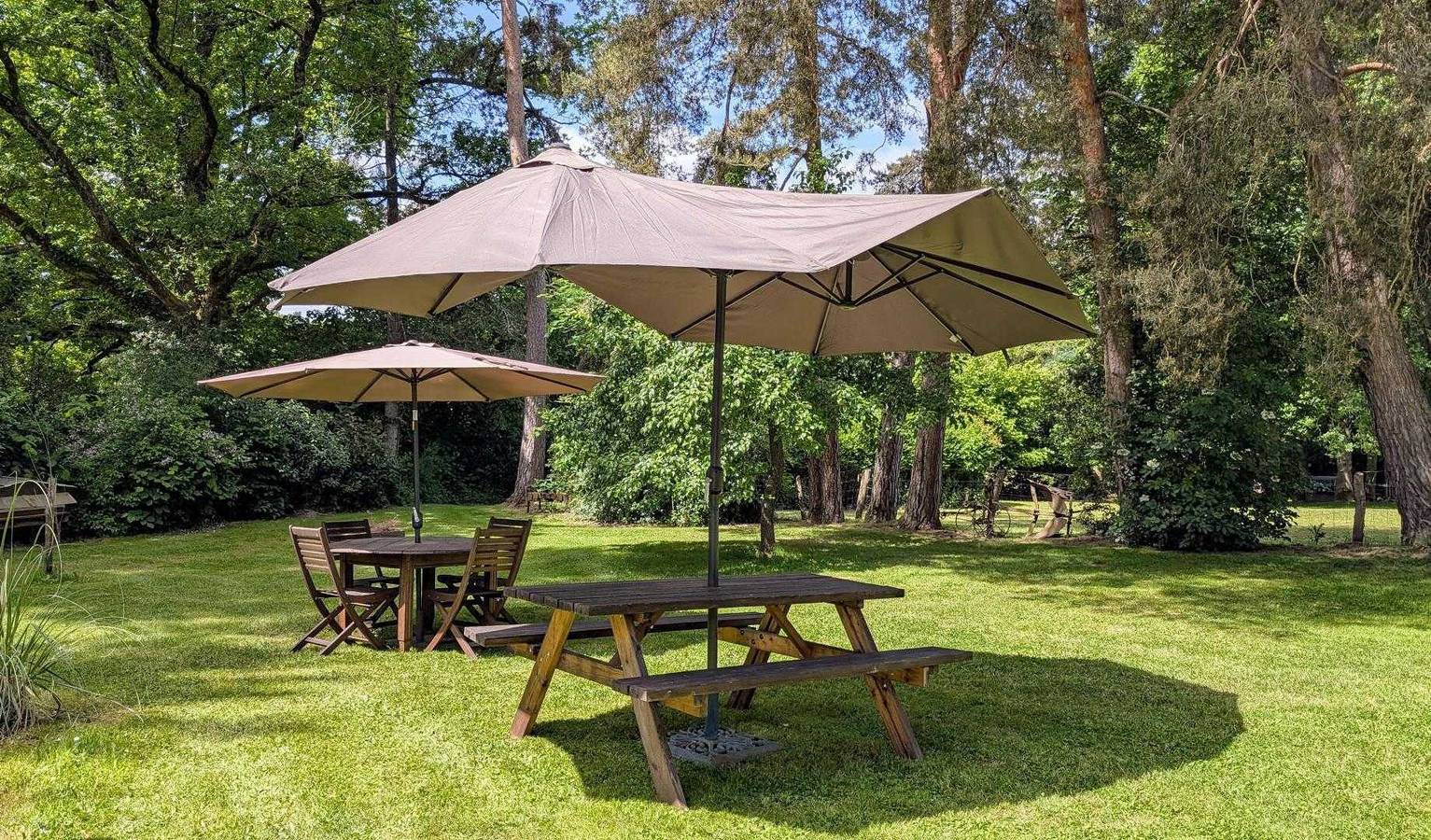 Le chalet des apiculteurs in Folles, Bellac und Umgebung