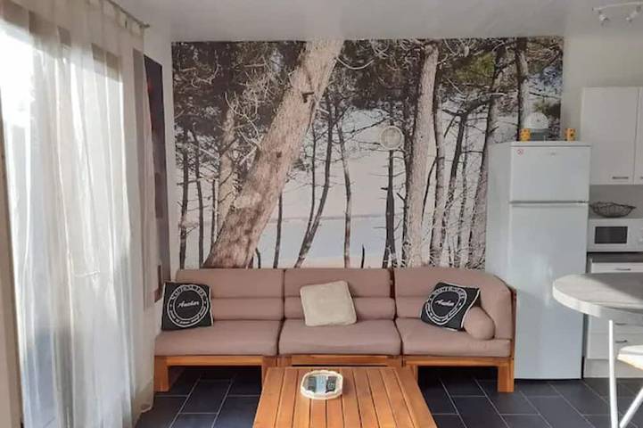Maison de vacances pour 6 personnes, avec terrasse et jardin dans Ronce-les-Bains